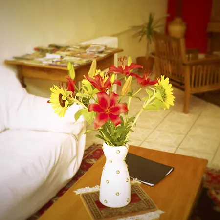 Le Centre * Le Boulou